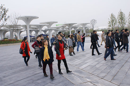 1528882274728282.jpg 10.jpg